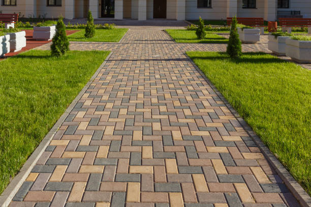 Best Local Driveway Pavers  in Ackley, IA